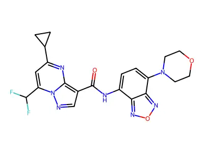 5-cyclopropyl-7-(difluoromethyl)-N-(4-morpholin-4-yl-2,1,3-benzoxadiazol-7-yl)pyrazolo[1,5-a]pyrimidine-3-carboxamide structure