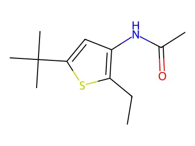 N-(5-tert-butyl-2-ethylthiophen-3-yl)acetamide structure