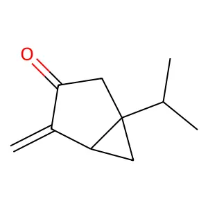(+)-Sabinone structure