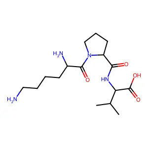 Msh (11-13) structure