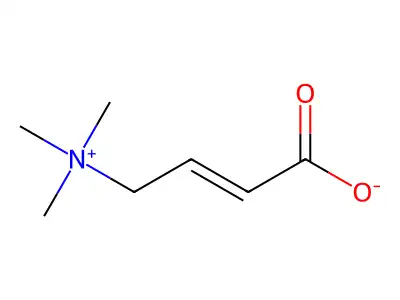Crotonic acid betaine structure