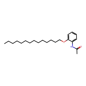 N-[2-(十四烷氧基)苯基]乙酰胺 structure