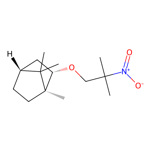 2-(2-Methyl-2-nitropropoxy)bornane structure