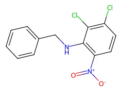 N-benzyl-2,3-dichloro-6-nitroaniline structure