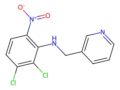 N1-(3-pyridylmethyl)-2,3-dichloro-6-nitroaniline structure