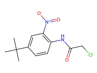 N-(4-tert-butyl-2-nitrophenyl)-2-chloroacetamide structure