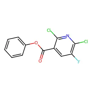 Phenyl 2,6-dichloro-5-fluoronicotinate structure