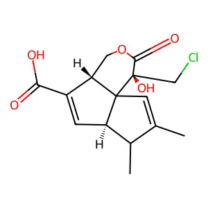 AA 57 structure