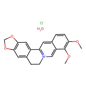 Berberine chloride hydrate structure
