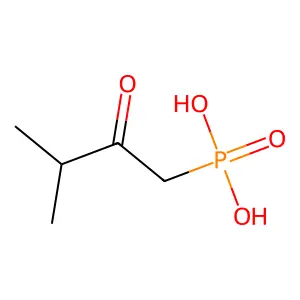 Phosphonic acid, (3-methyl-2-oxobutyl)- structure