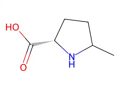 5-甲基吡咯烷-2-甲酸 structure