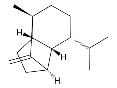 4-[(2-chloro-5-nitroanilino)methylidene]-5-methylidene-2-(4-methylphenyl)pyrazolidin-3-one structure
