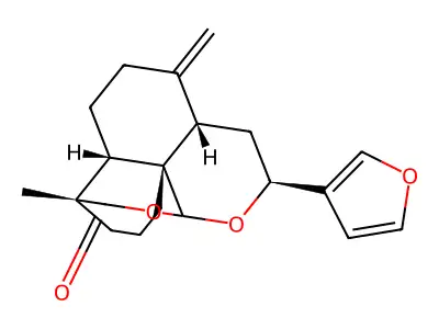 Sciadin structure