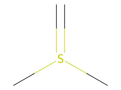 Methylenedimethylsulfuran structure