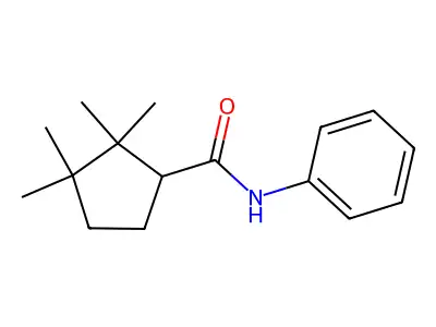 2,2,3,3-tetramethyl-N-phenylcyclopentane-1-carboxamide structure