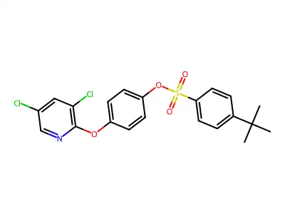 4-[(3,5-Dichloropyridin-2-yl)oxy]phenyl 4-tert-butylbenzenesulfonate structure