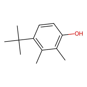 Phenol, 4-(1,1-dimethylethyl)-2,3-dimethyl- structure