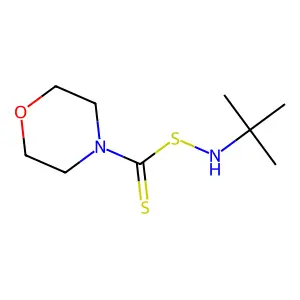 2-Methyl-N-((4-morpholinylthioxomethyl)thio)-2-propanamine structure