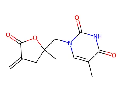 Thymine lactone structure