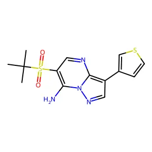 6-(Tert-butylsulfonyl)-3-(3-thienyl)pyrazolo[1,5-a]pyrimidin-7-ylamine structure