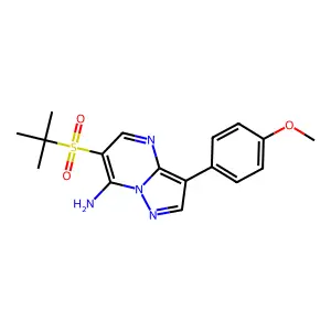 6-(Tert-butylsulfonyl)-3-(4-methoxyphenyl)pyrazolo[1,5-a]pyrimidin-7-ylamine structure