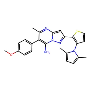 2-[3-(2,5-dimethyl-1H-pyrrol-1-yl)-2-thienyl]-6-(4-methoxyphenyl)-5-methylpyrazolo[1,5-a]pyrimidin-7-amine structure