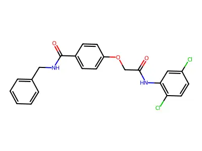 N-benzyl-4-[2-(2,5-dichloroanilino)-2-oxoethoxy]benzamide structure