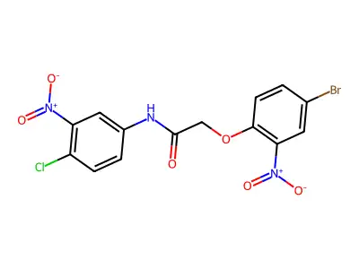 2-(4-bromo-2-nitrophenoxy)-N-(4-chloro-3-nitrophenyl)acetamide structure