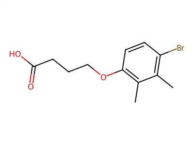 4-(4-Bromo-2,3-dimethylphenoxy)butanoic acid structure