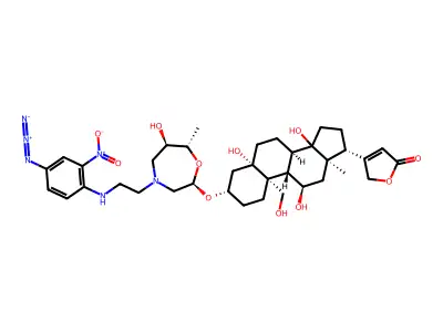 NAP-ouabain structure