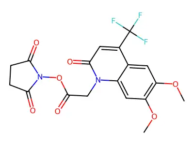 J2.338.450G structure