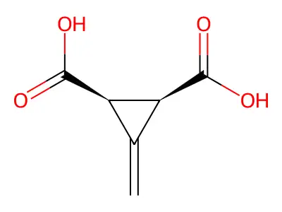 (1R,2S)-3-Methylenecyclopropane-1,2-dicarboxylic acid structure