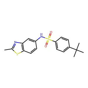 4-(tert-butyl)-N-(2-methylbenzo[d]thiazol-5-yl)benzenesulfonamide structure