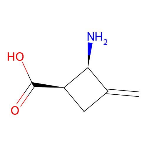 (1R,2R)-2-amino-3-methylene-cyclobutanecarboxylic acid structure