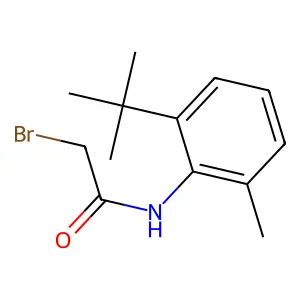 Acetamide, 2-bromo-N-(2-(1,1-dimethylethyl)-6-methylphenyl)- structure