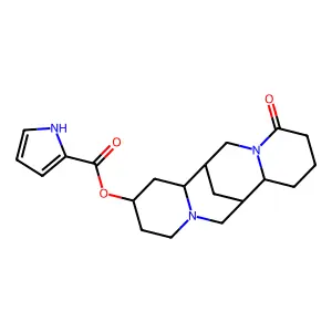 Calpurnine structure