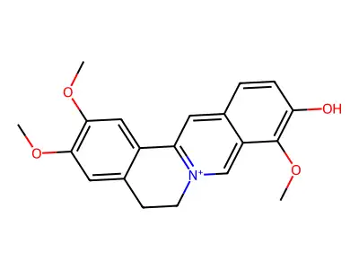 Dehydrocorydalmine structure
