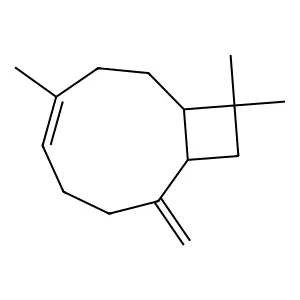 Ctk1J1717 structure
