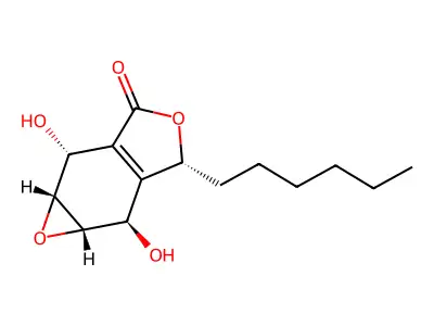 Integrasone structure