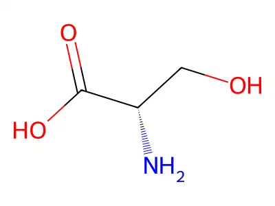 6-N,6-N,9-N,9-N,2,2,4,11,13,13-decamethyltetradec-7-yne-6,9-diamine structure