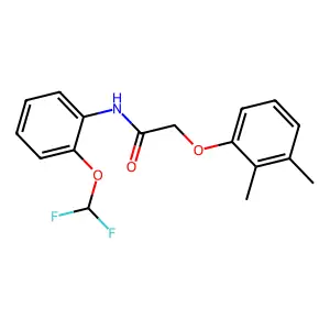 N-[2-(difluoromethoxy)phenyl]-2-(2,3-dimethylphenoxy)acetamide structure