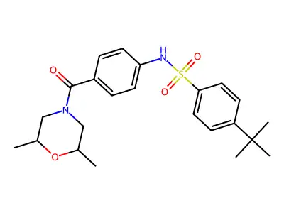 4-tert-butyl-N-[4-(2,6-dimethylmorpholine-4-carbonyl)phenyl]benzenesulfonamide structure