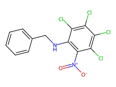 2-(Benzylamino)-3,4,5,6-tetrachloronitrobenzene structure