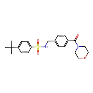 4-tert-butyl-N-[4-(4-morpholinylcarbonyl)benzyl]benzenesulfonamide structure