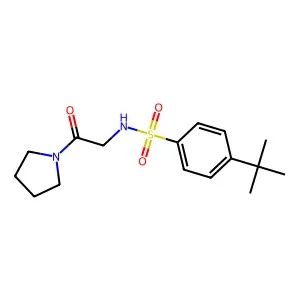 4-tert-butyl-N-(2-oxo-2-pyrrolidin-1-ylethyl)benzenesulfonamide structure
