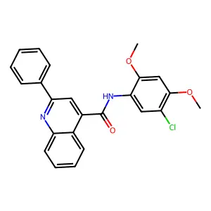 N-(5-chloro-2,4-dimethoxyphenyl)-2-phenylquinoline-4-carboxamide structure