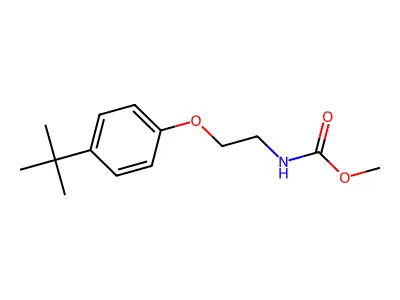 Methyl [2-(4-tert-butylphenoxy)ethyl]carbamate structure