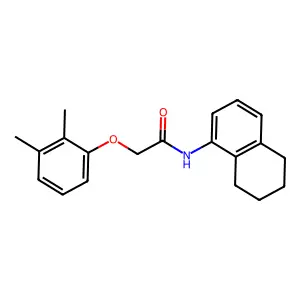 2-(2,3-dimethylphenoxy)-N-(5,6,7,8-tetrahydronaphthalen-1-yl)acetamide structure