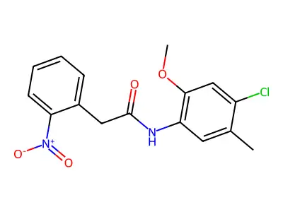 N-(4-chloro-2-methoxy-5-methylphenyl)-2-(2-nitrophenyl)acetamide structure