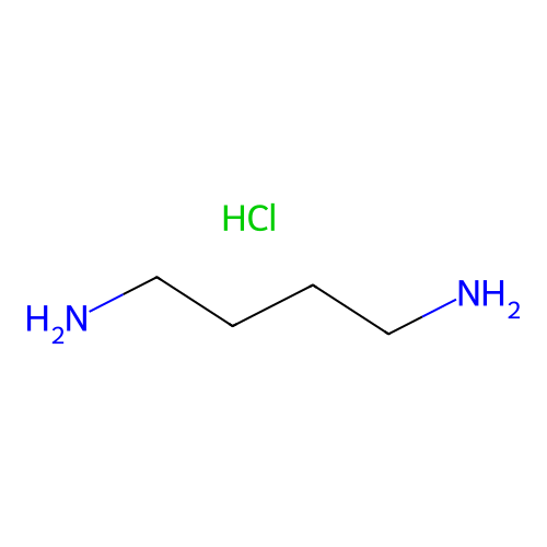 Putrescine Hydrochloride structure